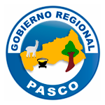  Programa de Prácticas Profesional - GOBIERNO REGIONAL DE PASCO