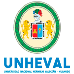  Programa de Prácticas Profesional - UNIVERSIDAD HERMILIO VALDIZAN (UNHEVAL)