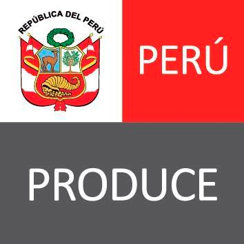  Programa de Prácticas - MINISTERIO DE LA PRODUCCIÓN (PRODUCE)