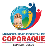  Programa de Prácticas Profesional - MUNICIPALIDAD DE COPORAQUE