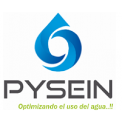  Programa de Prácticas PreProfesional - PYSEIN