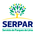  Programa de Prácticas Profesional - SERPAR