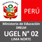  Programa de Prácticas Profesional - UGEL 02